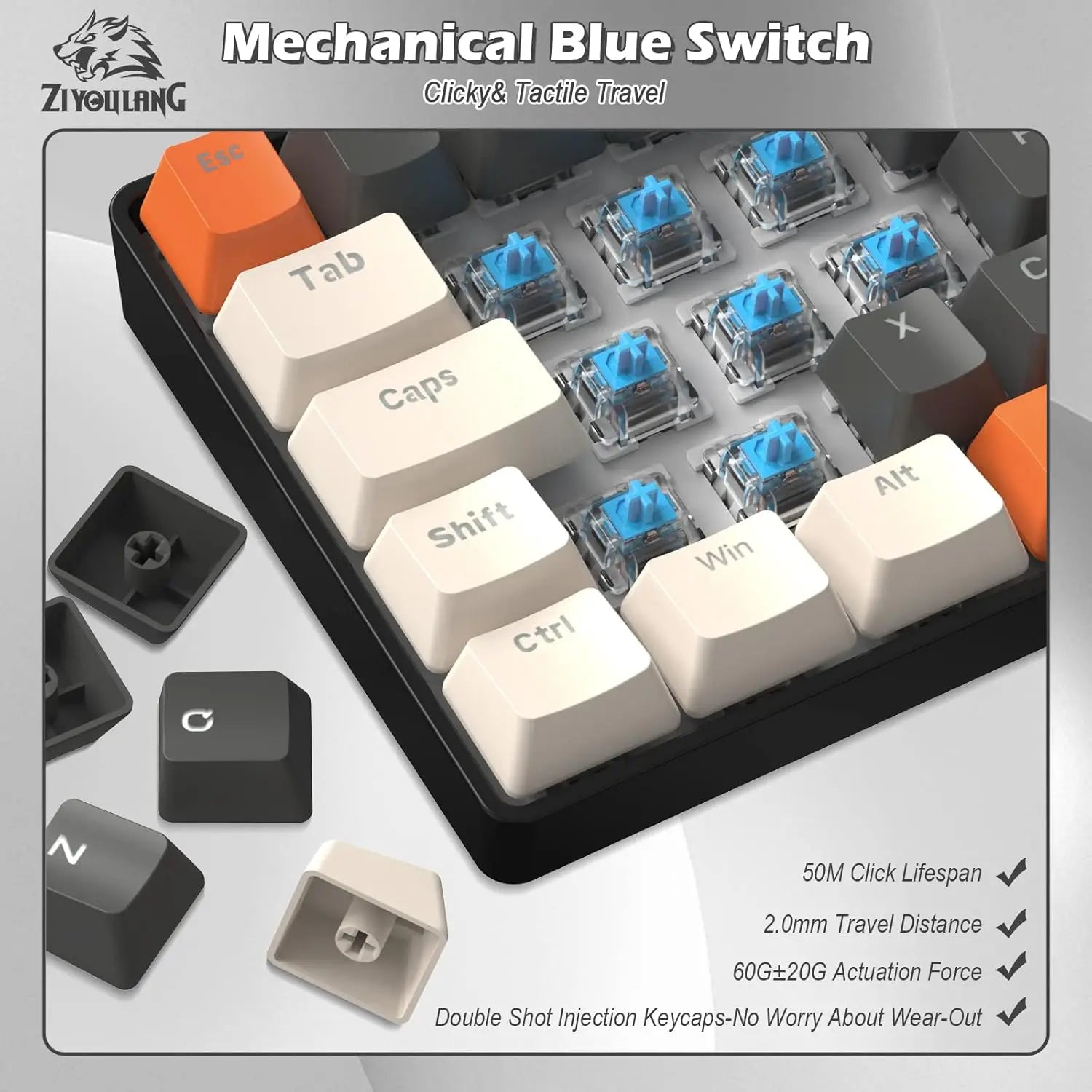 MAMBASNAKE x ZIYOU LANG T60PRO 60% Mechanical Keyboard and Mouse Combo+Coiled USB C Cable