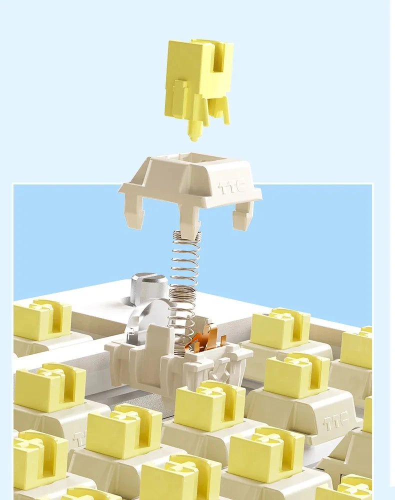 AULA F75 Gaming Mechanical Keyboard W/ RGB PBT keycaps Hot-Swap Gasket Structure 75% Layout Customized Tri-Mode Game Keyboards